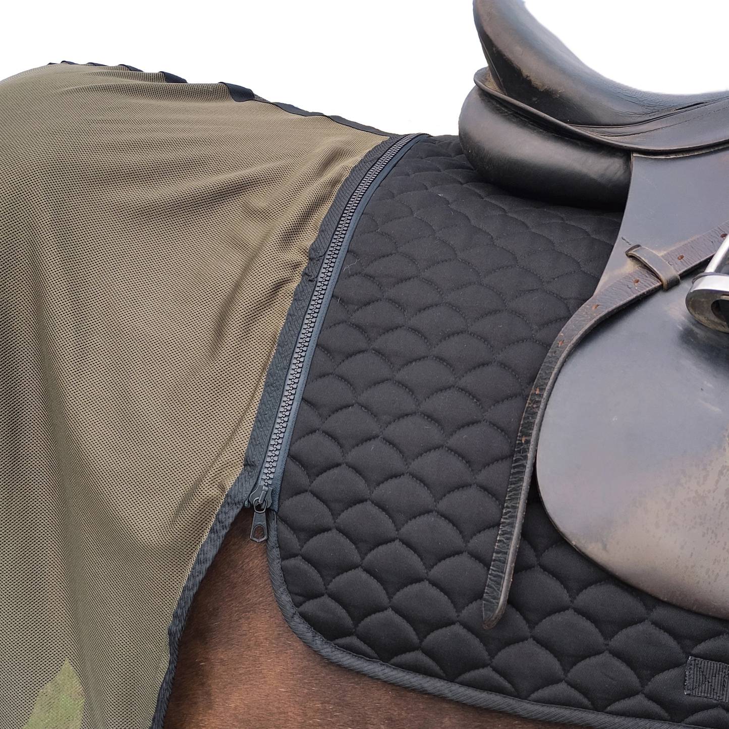 Dressurschabracke Daja Schwarz – 100 % Baumwolle mit Filzfüllung, Steppung, innovativ für Dressurpferde