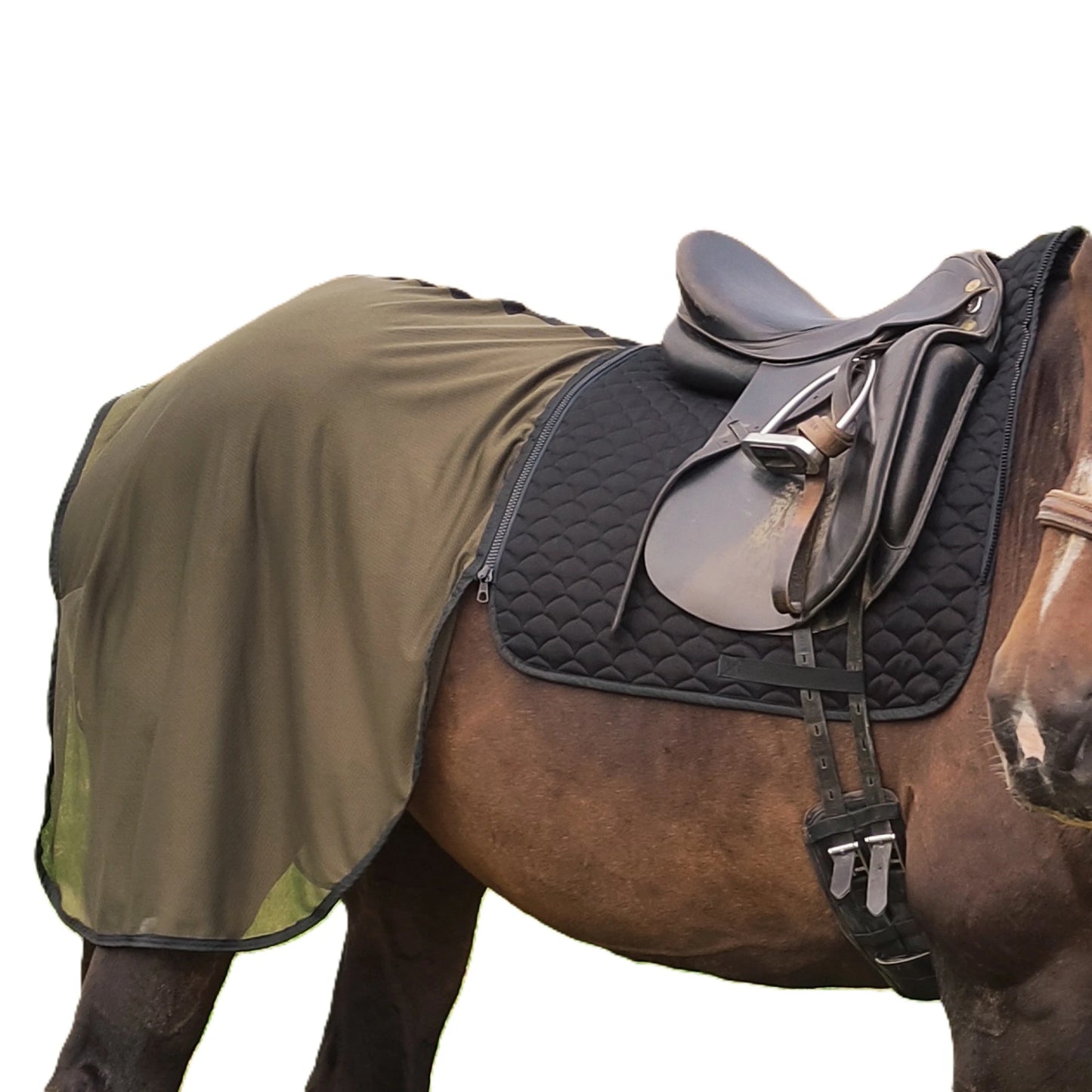 Dressurschabracke Daja Schwarz – 100 % Baumwolle mit Filzfüllung, modulares System für Dressurpferde