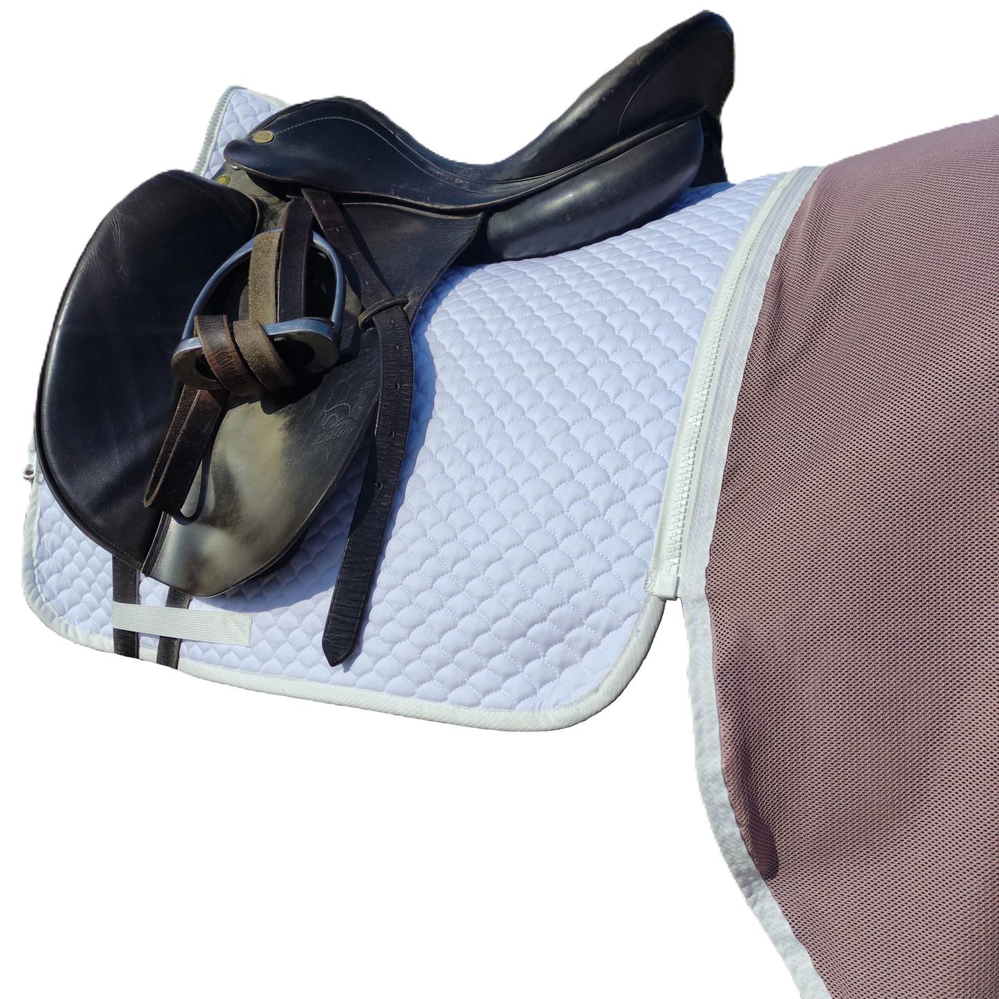 Dressurschabracke Daja Weiss - innovative Reitdecke aus 100 % Baumwolle mit Filzfüllung, optimaler Komfort für Dressurpferde